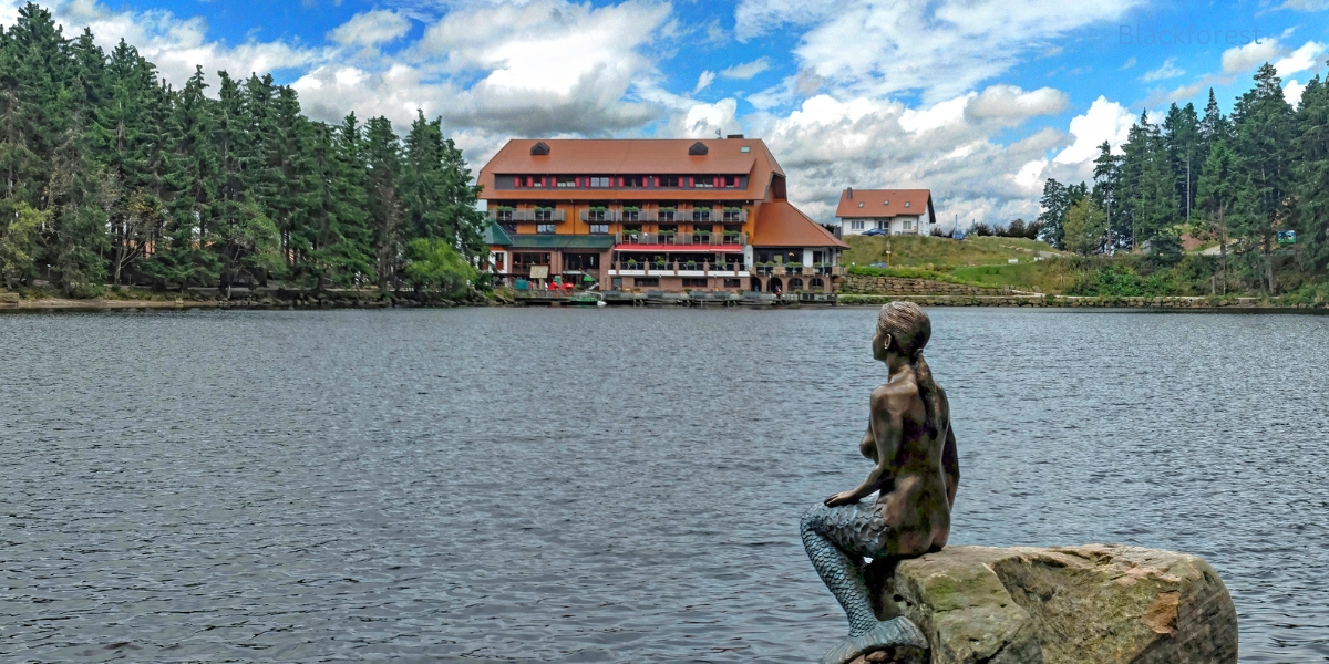 Natural Beauty of The Black Forest